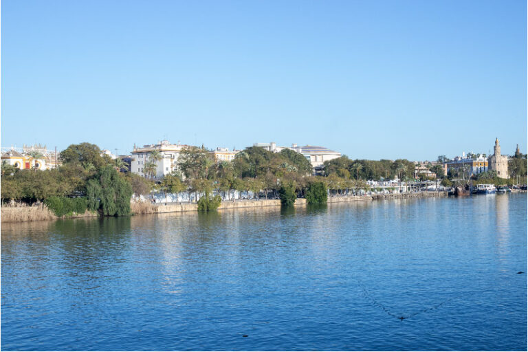 TourTriana_3